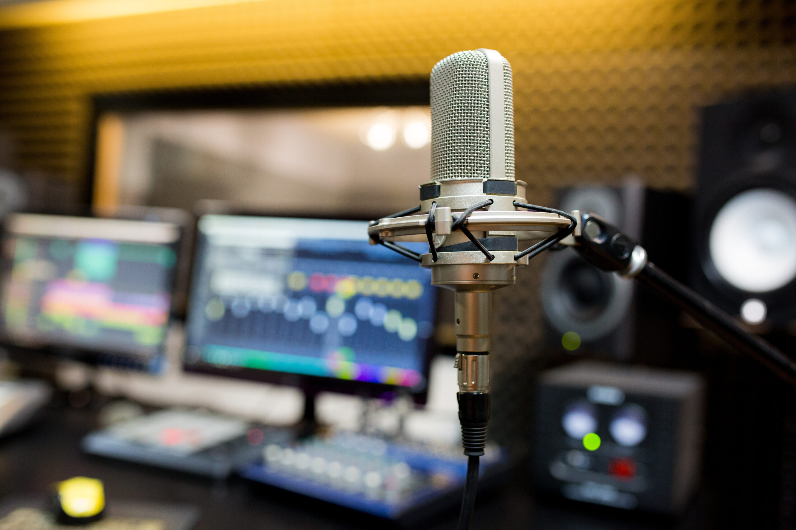 Professional microphone in the recording studio.